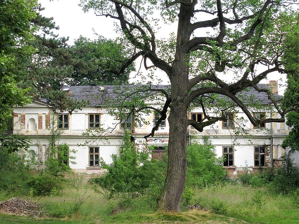 Pałac w Białej Wielkiej